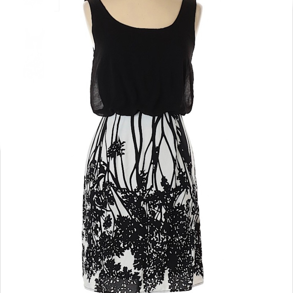 Alya Black & White Dress